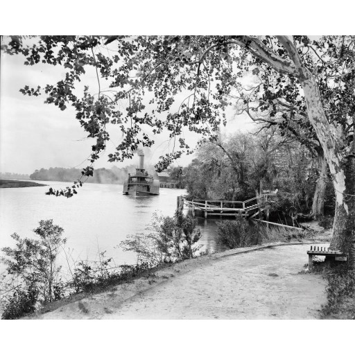 A Steamboat Landing at Magnolia Gardens, c1900