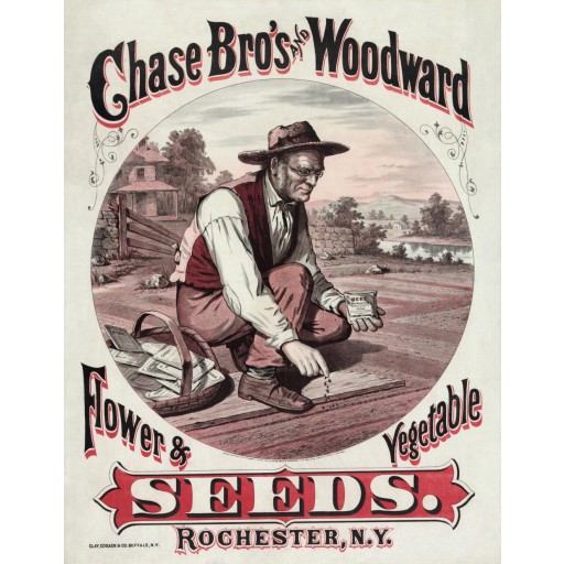 Chase Bro's & Woodward: Seeds
