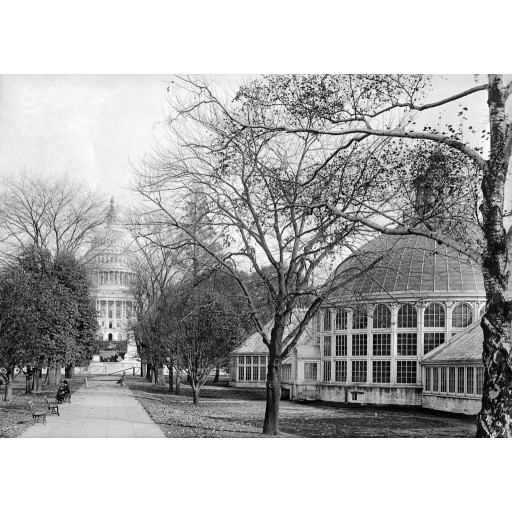U.S. Botanical Gardens, The Capitol, c1917