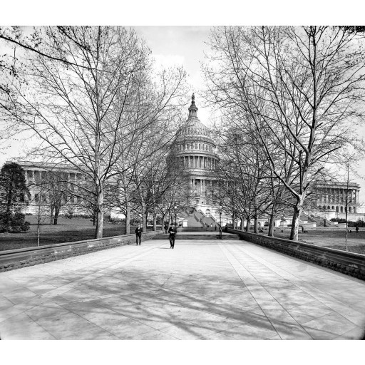 A Path to the Capitol, c1902