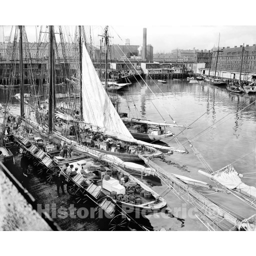 Boston, Massachusetts, Fishermen Docked at the T-Wharf, c1905