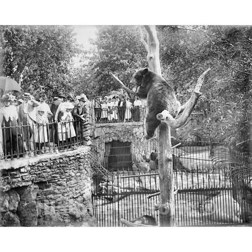 Chicago, Illinois, The Lincoln Park Zoo, c1901