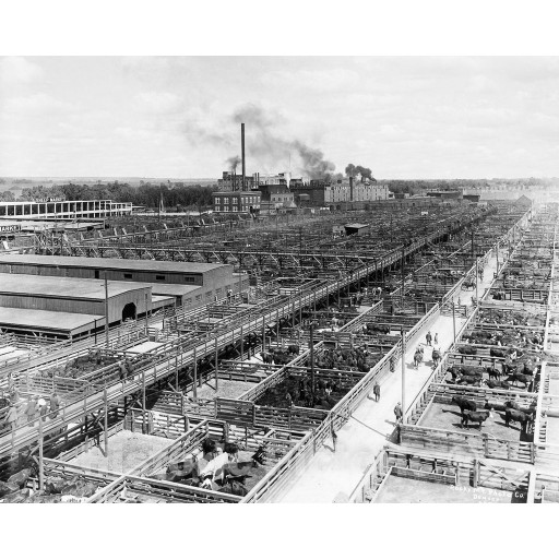 Denver, Colorado, Denver Stockyards, c1930