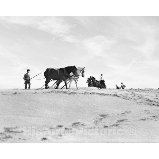 Long Island, New York, Horses in East Hampton, c1937