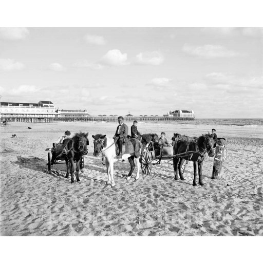 The Jersey Shore, Ponies for Rent, Atlantic City, c1900