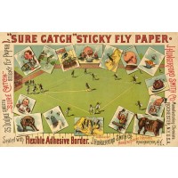 "Sure Catch" Sticky Fly Paper, c1875