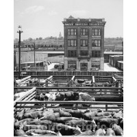 Kansas City, Missouri, Kansas City Stockyards, c1936