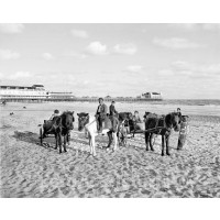 The Jersey Shore, Ponies for Rent, Atlantic City, c1900